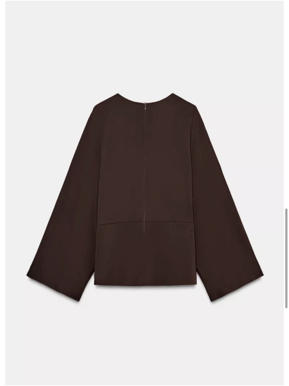 For Ana - Zara ZW Collection Flowing Blouse - Picture 4 of 8